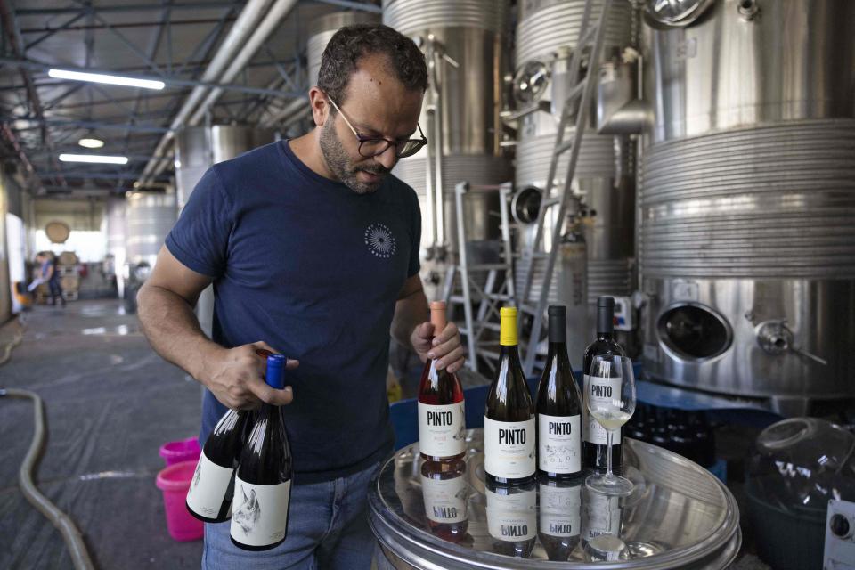 <p>Mientras que en Europa la cosecha este 2022 será menor, este viticultor espera aumentarla y producir alrededor de 55.000 botellas. (Foto: Menahem Kahana / AFP / Getty Images).</p> 
