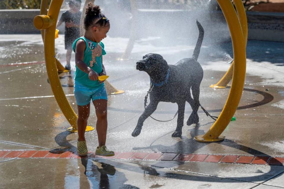 Two-year-old Parker Beverly cools off with her dog River in the mist of North Natomas Regional Park on Tuesday, Sept. 6, 2022.
