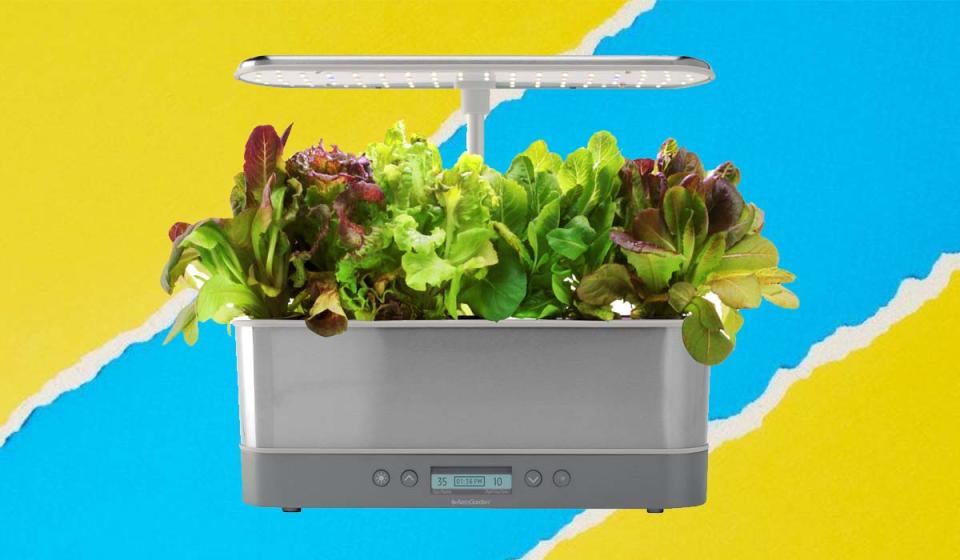 The weather outside is... who cares? Inside, the AeroGarden produces fresh herbs and greens all year. (Photo: AeroGarden)