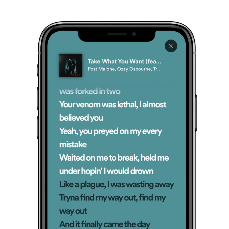 Spotify lyrics