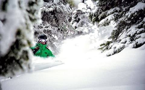 Revelstoke ski resort receives around 12m of powder each year