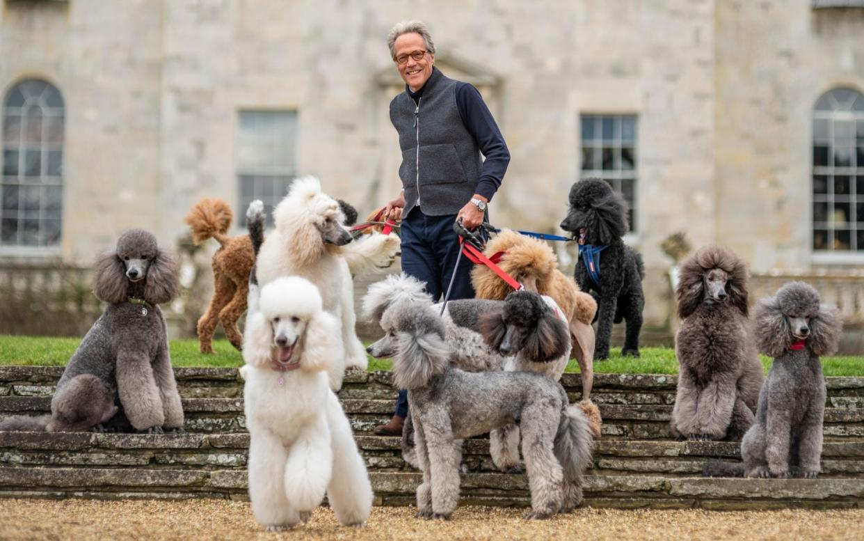 The Duke was brought up in a family that owned standard poodles so the breed is close to his heart - Heathcliff O'Malley