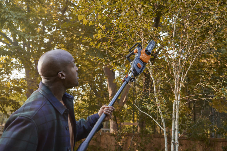 Using chainsaw from Canadian Tire to trim tree branches