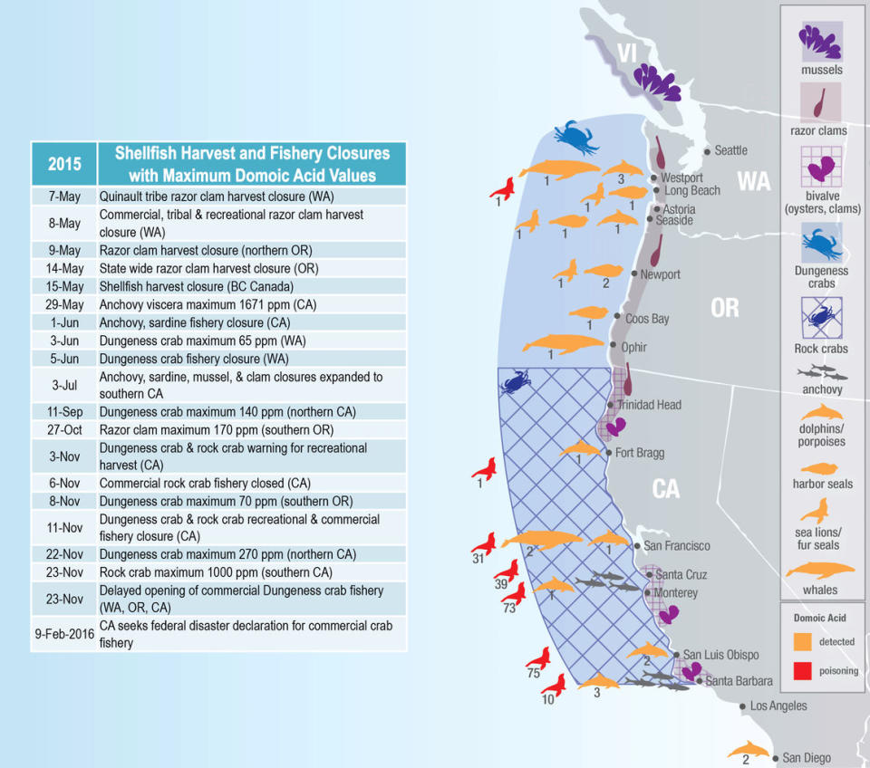 A map showing the impacts of the 2015 West Coast toxic algal bloom. Orange mammal symbols were detected with domoic acid, while those colored red also showed symptoms of poisoning. <cite>NOAA's Northwest Fisheries Science Center</cite>