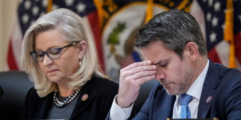 Republican Reps. Liz Cheney of Wyoming and Adam Kinzinger of Illinois at a January 6 committee hearing on December 1, 2021.