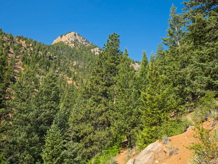 view from trail in North Cheyenne Canyon Park