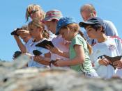 Für Familien mit Kindern ist ein Ausflug in die Grube Messel besonders lohnenswert - dort werden die Kleinen zu Hobby-Urzeitforschern. Foto: Welterbe Grube Messel gGmbH