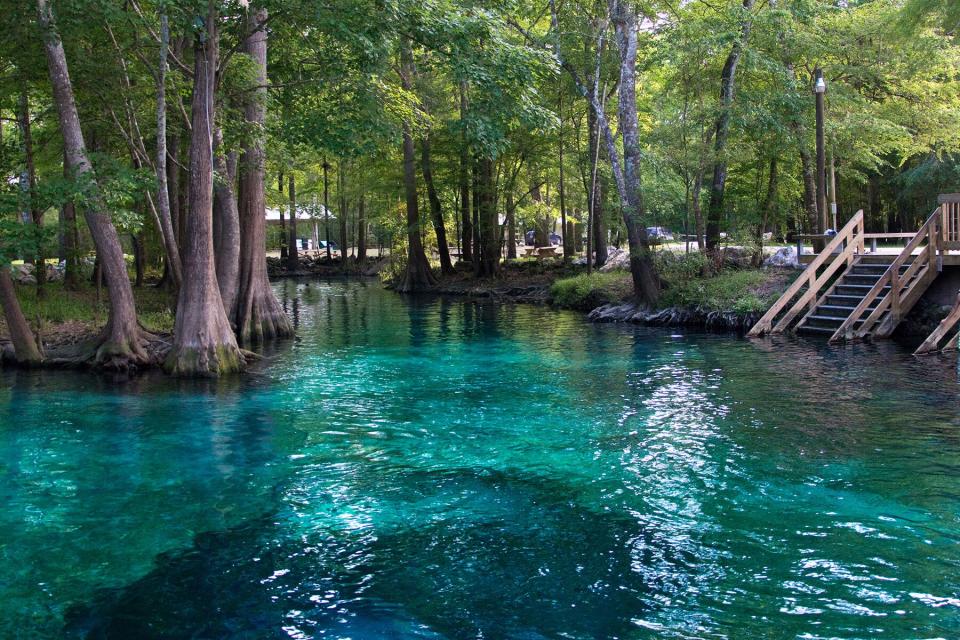 Ginnie springs in Florida, a Fresh Water Springs Swimming Hole