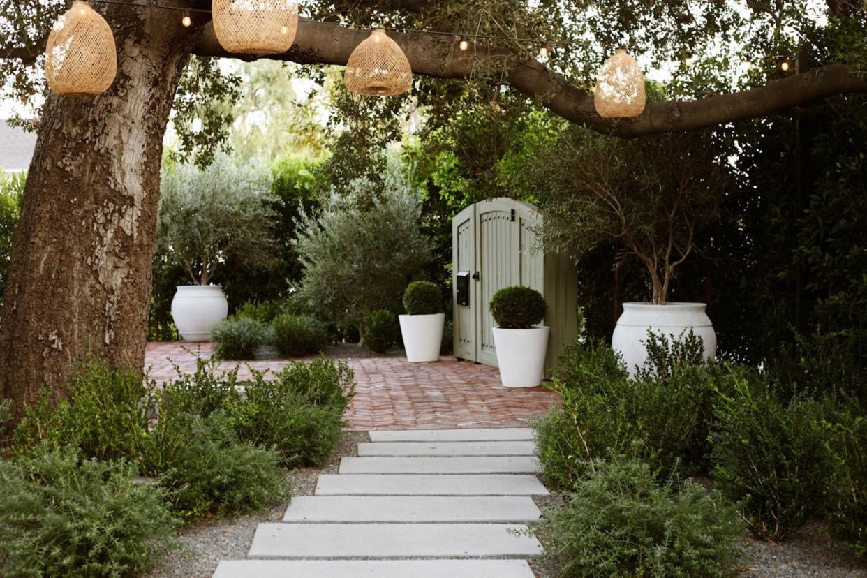  Backyard fairylights hanging from a tree over the garden path  