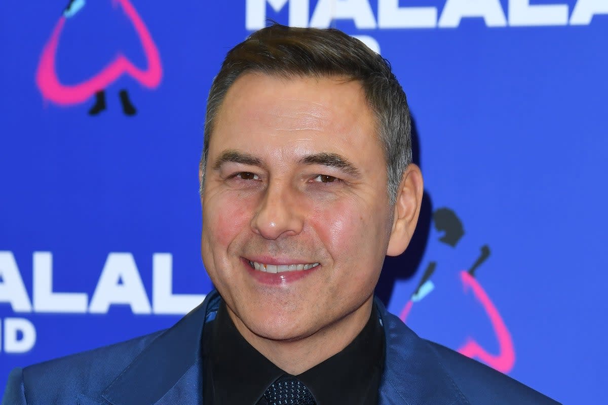 David Walliams has thrown his name into the ring for the new Fawlty Towers reboot  (Getty Images)