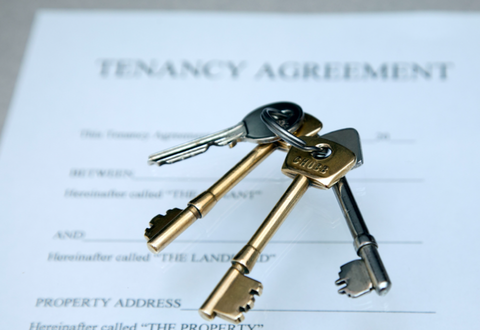 <em>Currently landlords can insist on no animals in the property in the tenancy agreement (Rex)</em>