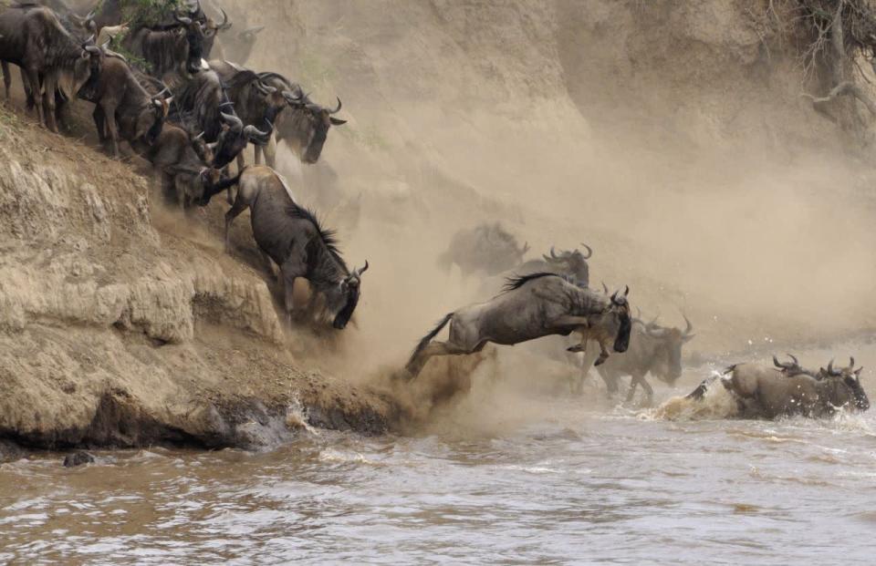 La grande migration du Serengeti en Tanzanie