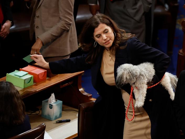 Representative Nancy Mace casts vote while holding her dog on House Floor