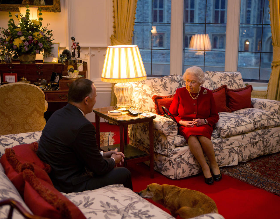 英國女王與時任紐西蘭總理John Key見面時，柯基犬隨侍在側。圖片來源：Getty Images