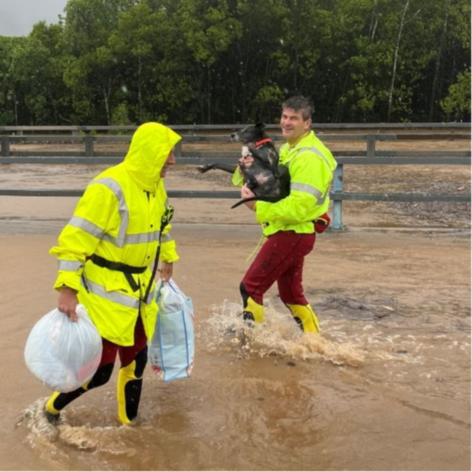 A search and rescue worker is rescues a dog in the flooded area of Queensland, Australia, amid Cyclone Jasper on December 18 (Anadolu via Getty Images)