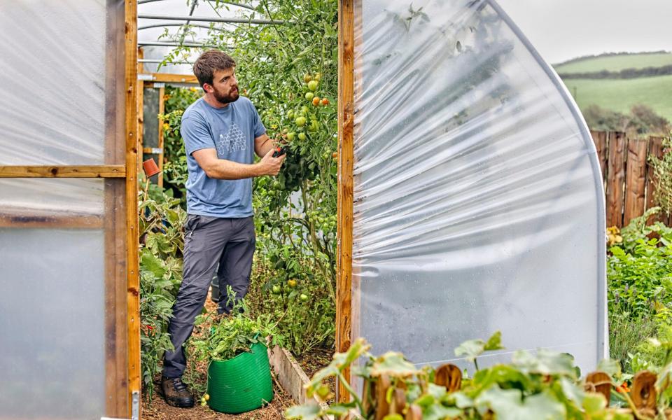 Richards at work on the pair's 10m x 12.5m plot in Aberystwyth, Wales