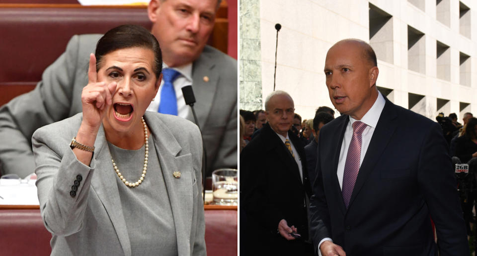 Peter Dutton and Concetta Fierravanti-Wells resign from cabinet after failed leadership challenge