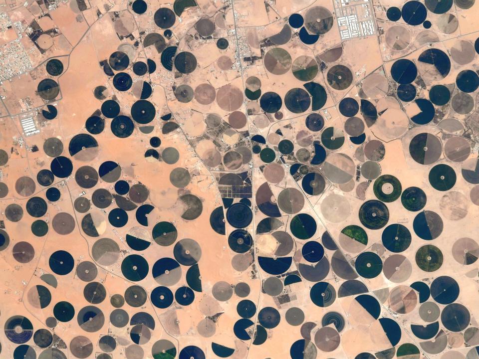 desert peppered with blue and green circles of crops