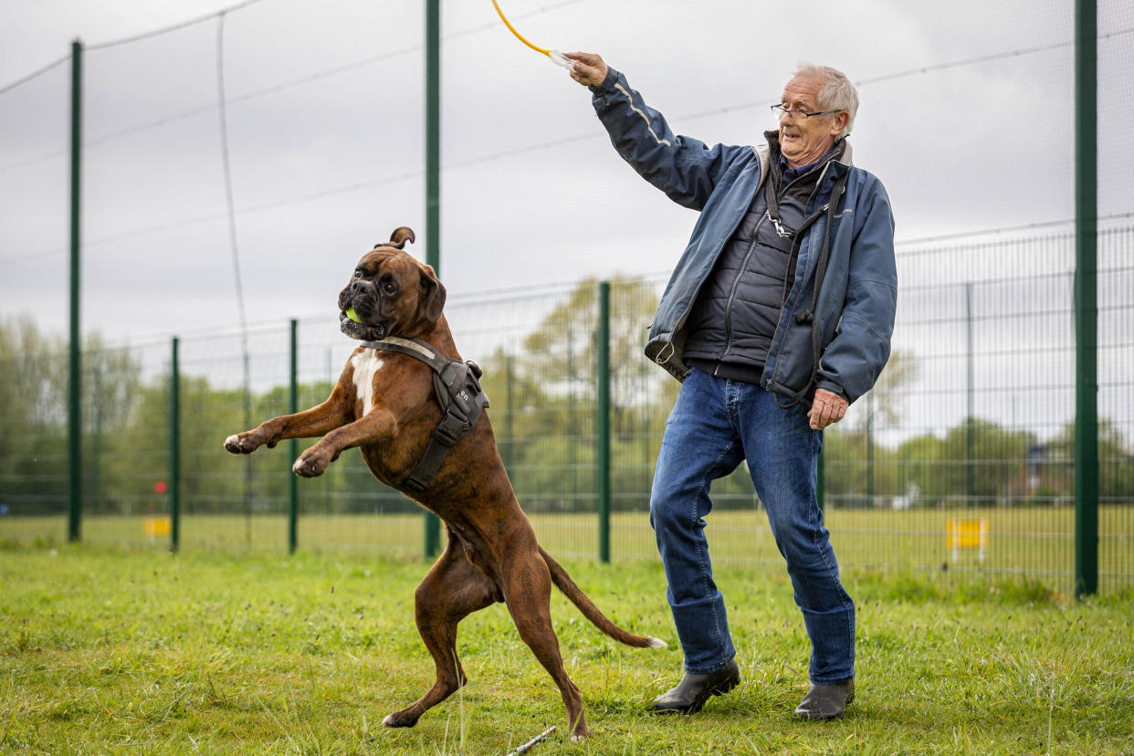 Owner David Warren, 70, first noticed his dog was feeling rough two months ago. (SWNS)