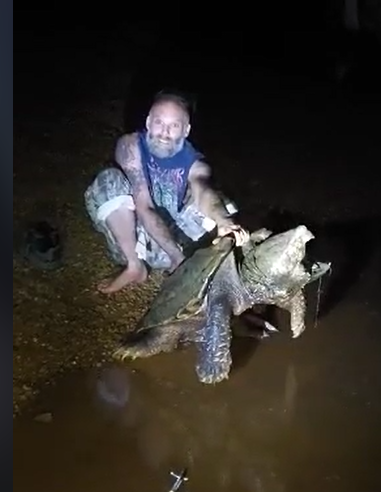 Victory Siwik shows off the 200-pound alligator snapping turtle he caught in West Tennessee.