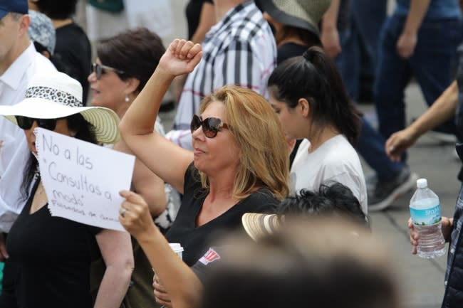 FOTOS | Así fue la 'Marcha Fifí' contra la consulta de López Obrador