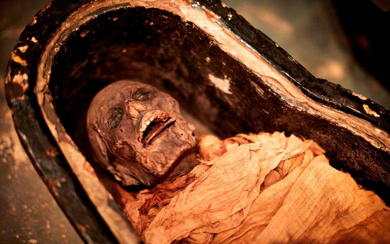 The mummyof the priest Nesyamum - Leeds Museums & Galleries / SWNS