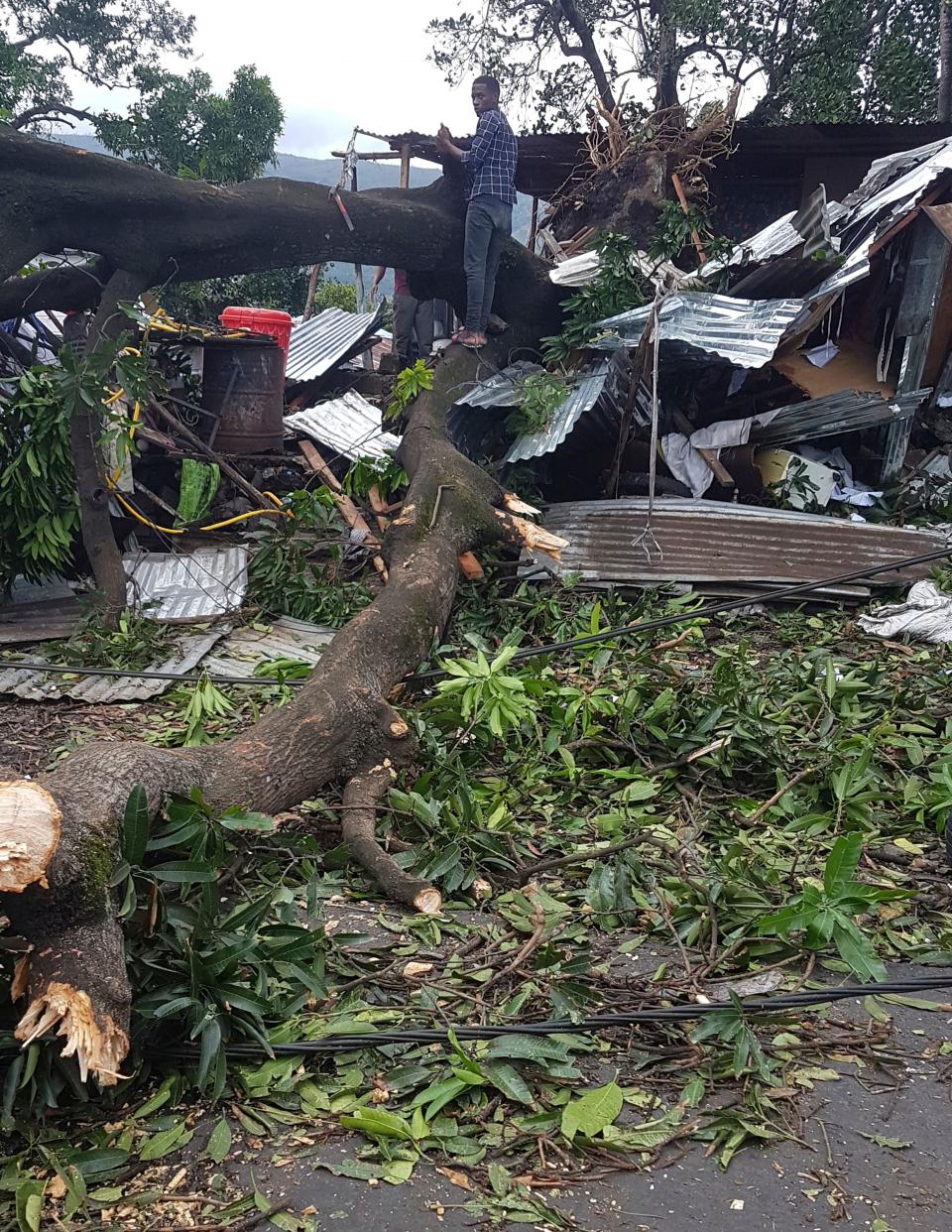 A man stands on fallen trees which damaged his home in Moroni, Comoros, Thursday, April 25, 2019, after Cyclone Kenneth hit the island nation of Comoros.