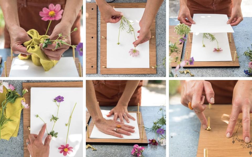 The six step guide to pressing flowers - Helen Cathcart