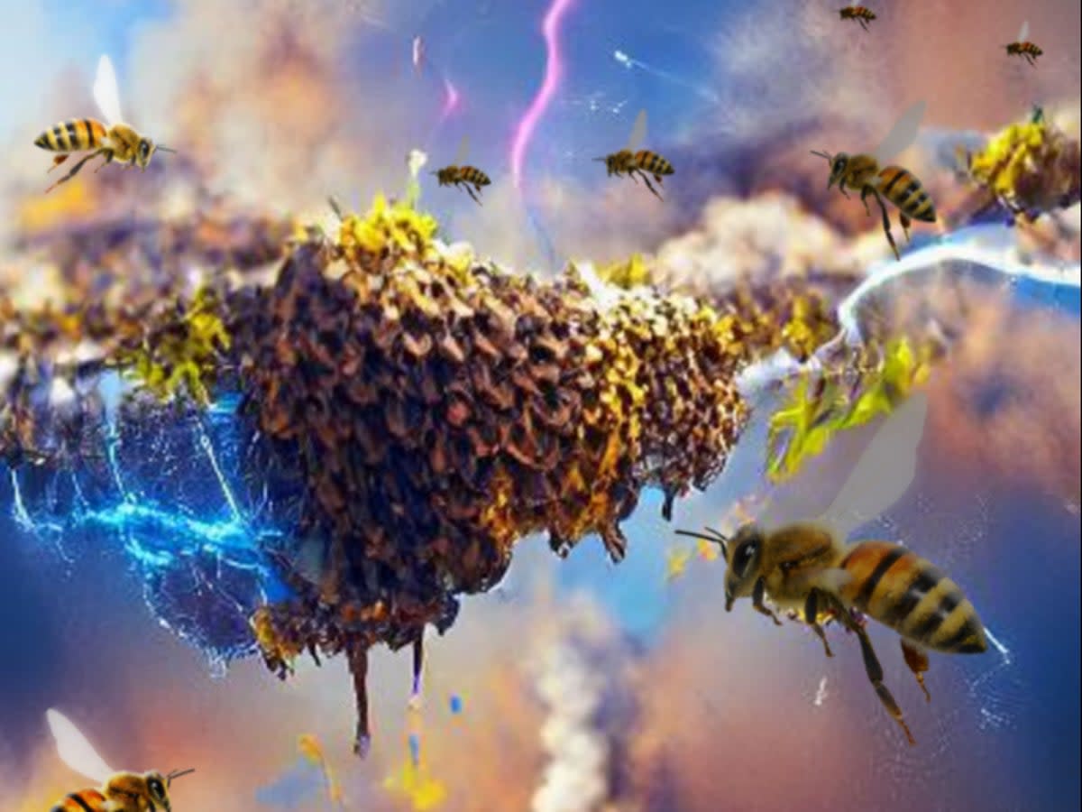 Bees have a closer relationship with electricity than previously recognised (Ellard Hunting)