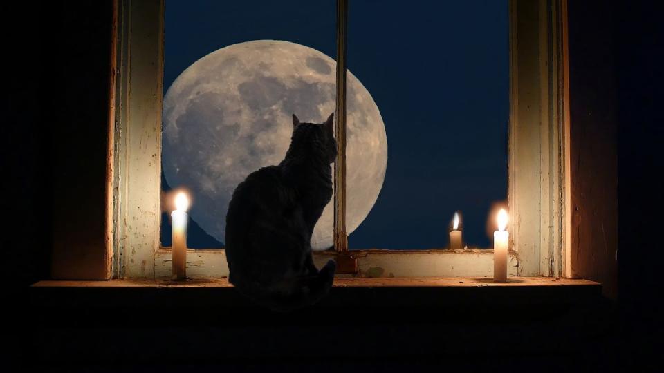 a cat is sitting in the window of a dark room, lit by two candles it is looking at the full moon in the night sky