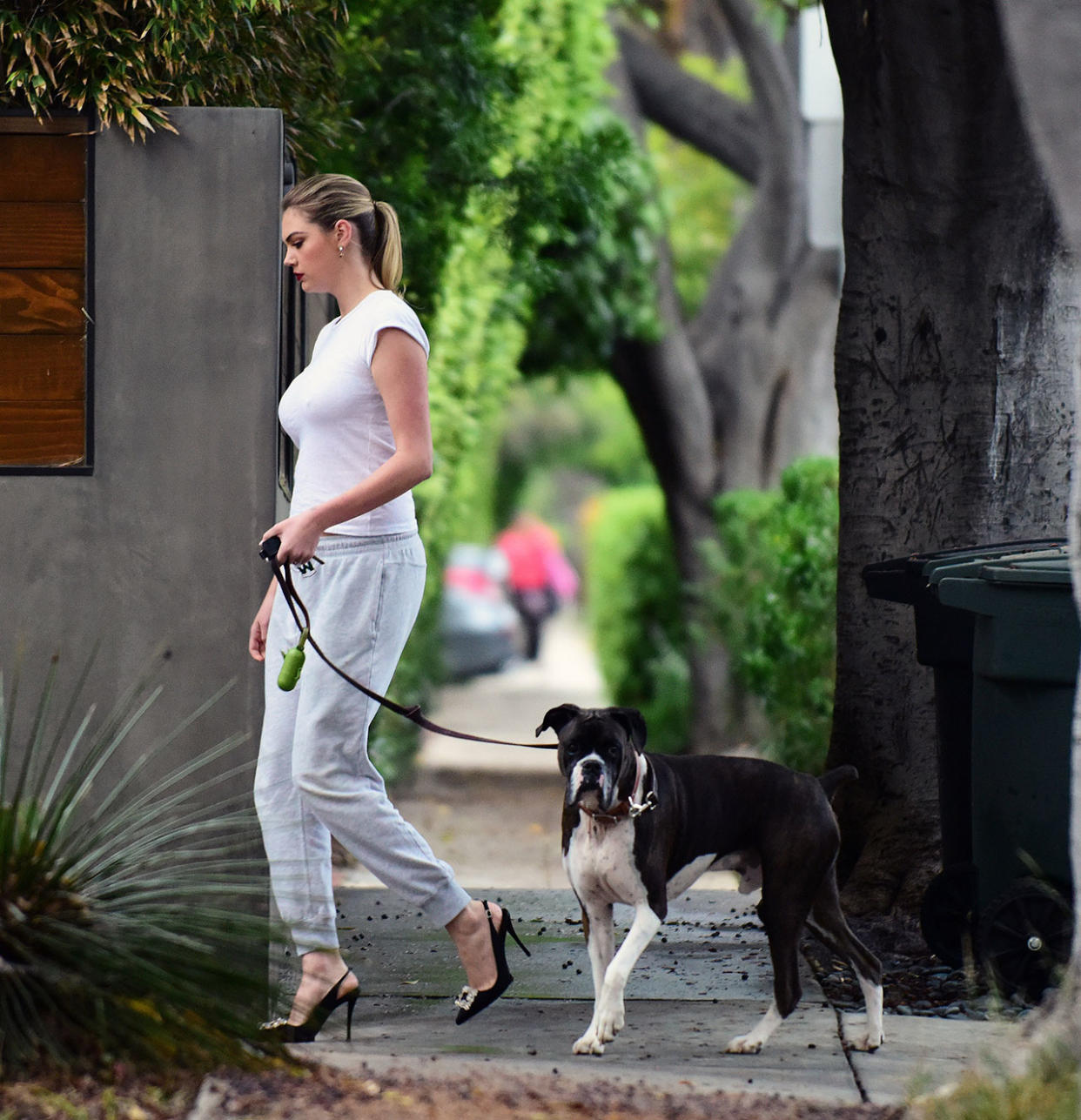 Kate Upton walks her dog in heels around her Los Angeles neighborhood