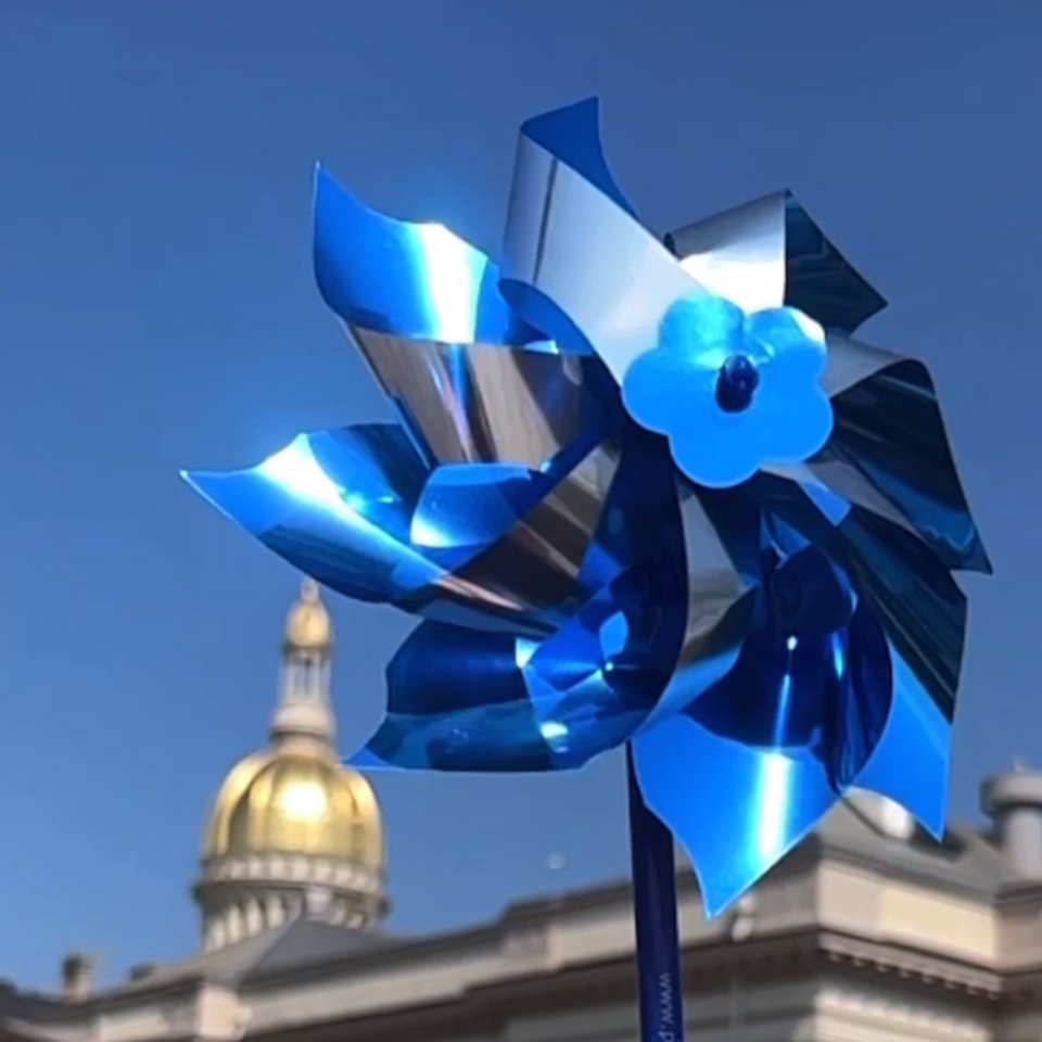 In Trenton and throughout the country, child welfare advocates participated in “Pinwheels for Prevention” events to raise awareness about child abuse and neglect. In New Jersey, the Department of Children and Families uses preventative programming to help families address issues before they reach a crisis point.