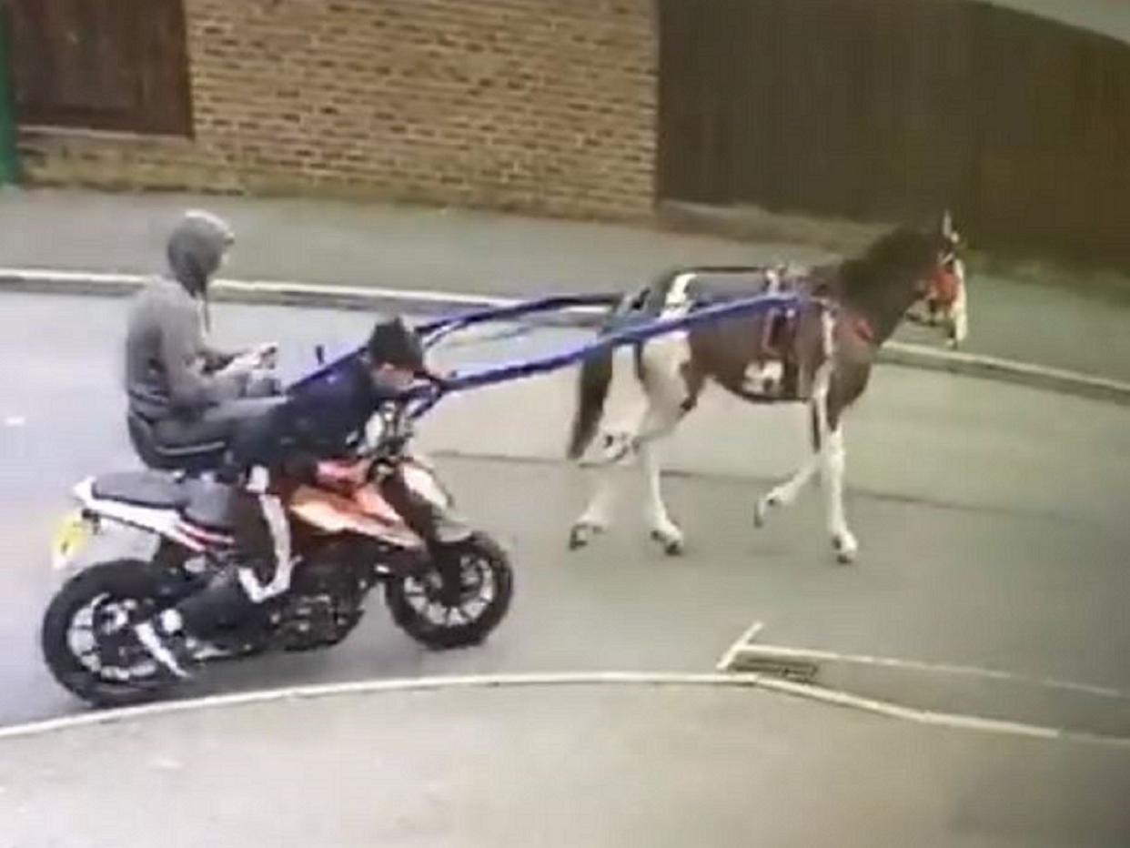 Police are investigating after CCTV footage showed two people allegedly towing a stolen motorbike away by horse in Dartford, Kent, 10 September 2019: Still image/Dartford Gossip/Facebook