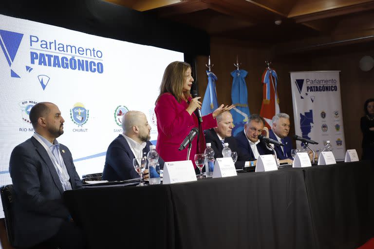 Arabela Carreras participó de una nueva sesión del Parlamento Patagónico