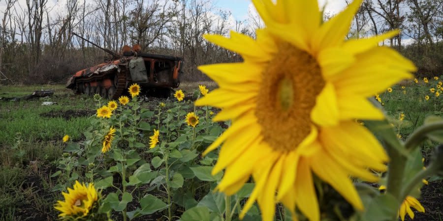 Destroyed Russian equipment in liberated Izyum