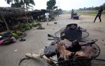 People walk near dried bushmeat near a road of the Yamoussoukro highway March 29, 2014. Bushmeat - from bats to antelopes, squirrels, porcupines and monkeys - has long held pride of place on family menus in West and Central Africa, whether stewed, smoked or roasted. Experts who have studied the Ebola virus from its discovery in 1976 in Democratic Republic of Congo, then Zaire, say its suspected origin - what they call the reservoir host - is forest bats. Links have also been made to the carcasses of freshly slaughtered animals consumed as bushmeat. (REUTERS/Thierry Gouegnon)