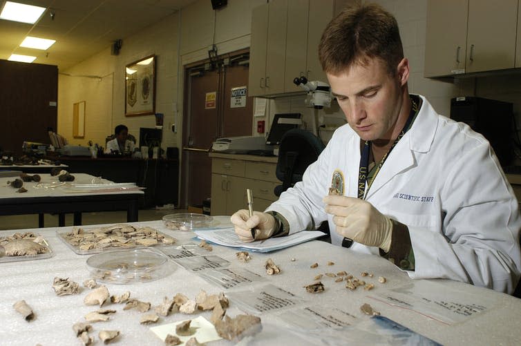 <span class="caption">A forensic odontologist studies the dental remains of someone thought to have died in a past conflict.</span> <span class="attribution"><a class="link " href="https://en.wikipedia.org/wiki/Forensic_dentistry#/media/File:Defense.gov_News_Photo_060921-A-4543J-003.jpg" rel="nofollow noopener" target="_blank" data-ylk="slk:Wikipedia;elm:context_link;itc:0;sec:content-canvas">Wikipedia</a></span>