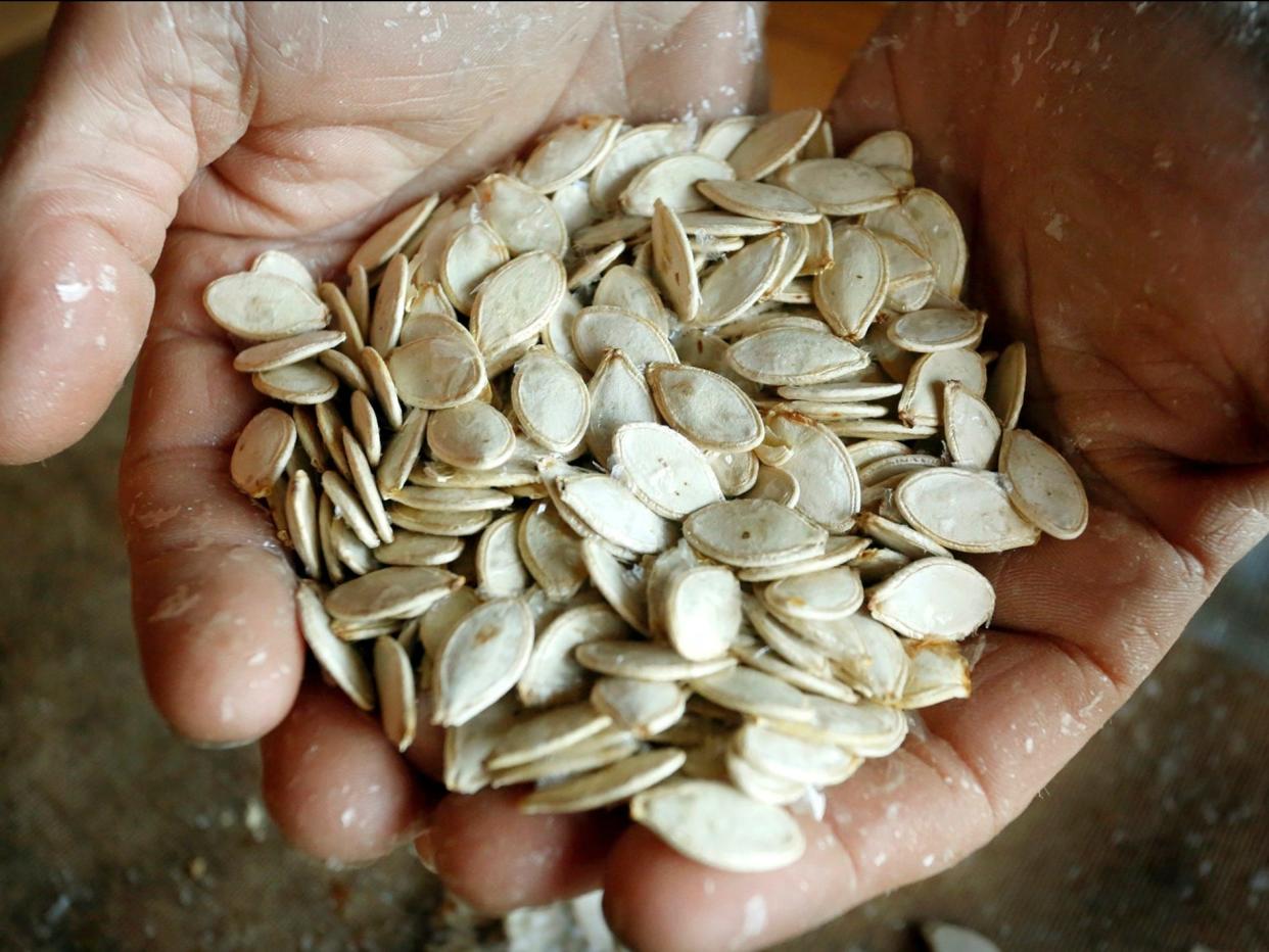 squash seeds