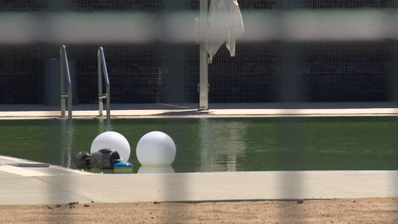 Another delay for opening of Borden Park natural pool