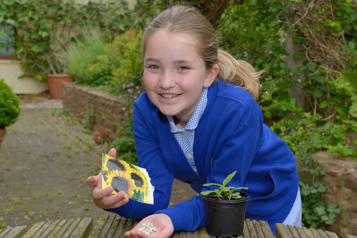Olivia Doran getting ready for the Communicare plant sale <i>(Image: Supplied)</i>
