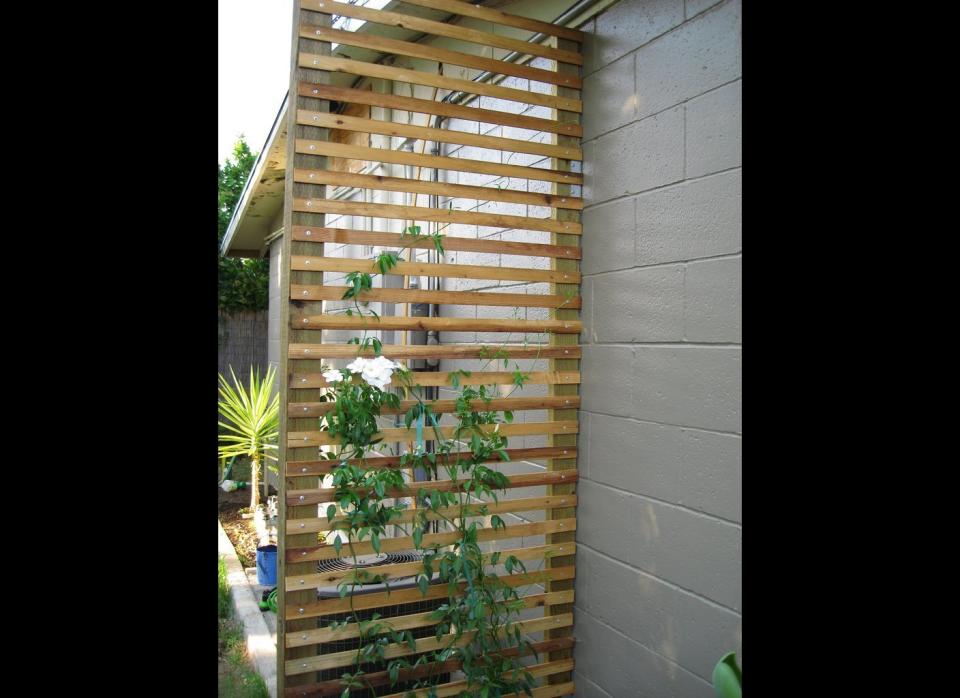 If you're looking to spruce up your garden or an outdoor wall a bit, a trellis is the perfect way. To make your own, first decide what size you'd like and purchase the amount of lattice and ply wood (this will be the frame) based on the <a href="http://www.thisoldhouse.com/toh/how-to/overview/0,,20269959,00.html" target="_hplink"> those measurements.</a> Next, you'll want to make notches where the frame will come together and then begin to assemble it. Then, use a power drill and screws to secure the frame together. Afterwards, lay the frame on the ground and place the lattice on it. The lattice should rest on a notch in between your frame, so it is important to get the measurements correct. Then, use the drill to secure the lattice to the frame and attach <a href="http://www.thisoldhouse.com/toh/how-to/step/0,,20269959_20604021,00.html" target="_hplink">back-stops </a>to keep it in place. Next, install the caps (the top portion of the trellis), using a drill. Then, dig holes where the lattice will be placed, install the trellis and fill the holes with gravel and soil to keep it in place.    For a full tutorial, head over to <a href="http://www.thisoldhouse.com/toh/how-to/step/0,,20269959_20604031,00.html" target="_hplink">This Old House. </a>