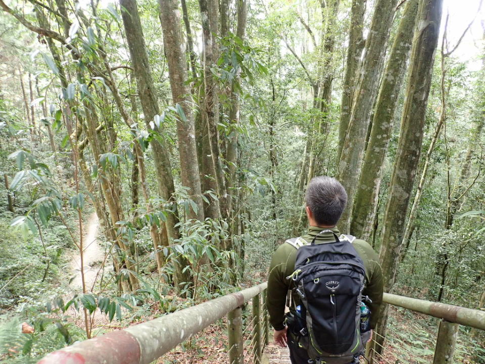 藤枝國家森林遊樂區