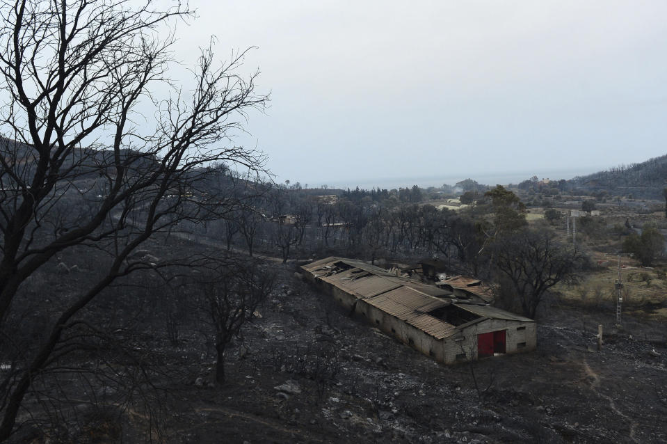 A view of a burnt house and forest, in Bouira, 100 km from Algiers, Algeria, Monday, July 24, 2023. Wildfires raging across Algeria have killed at least 25 people, including soldiers trying to get the flames under control in the face of high winds and scorching summer temperatures, government ministries said Monday. (AP Photo)