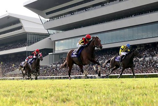 Liberty Island, passing the new grandstand, wins the Shuka Sho at Kyoto Racecourse, completing a sweep of the Japanese filly Triple Crown. Photo courtesy of Japan Racing Association