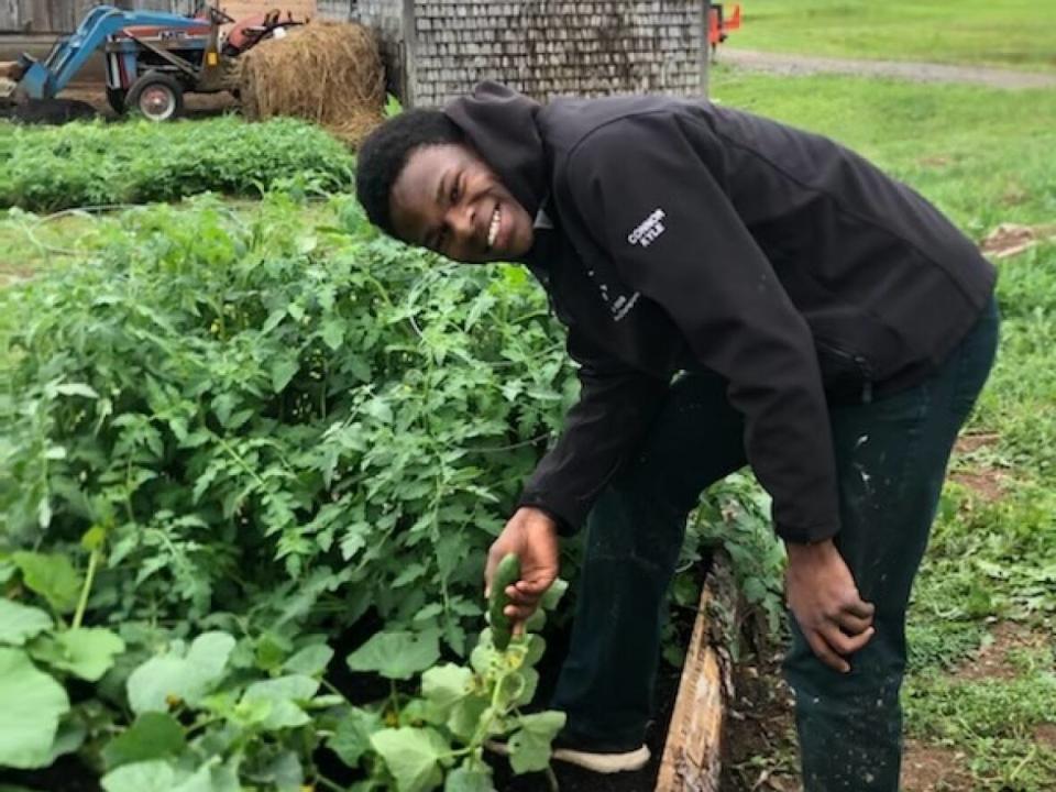 A summer student, Jeffson, has been working in the new vegetable garden at the Outflow Ministries farm in Kars. (Submitted by Jayme Hall - image credit)