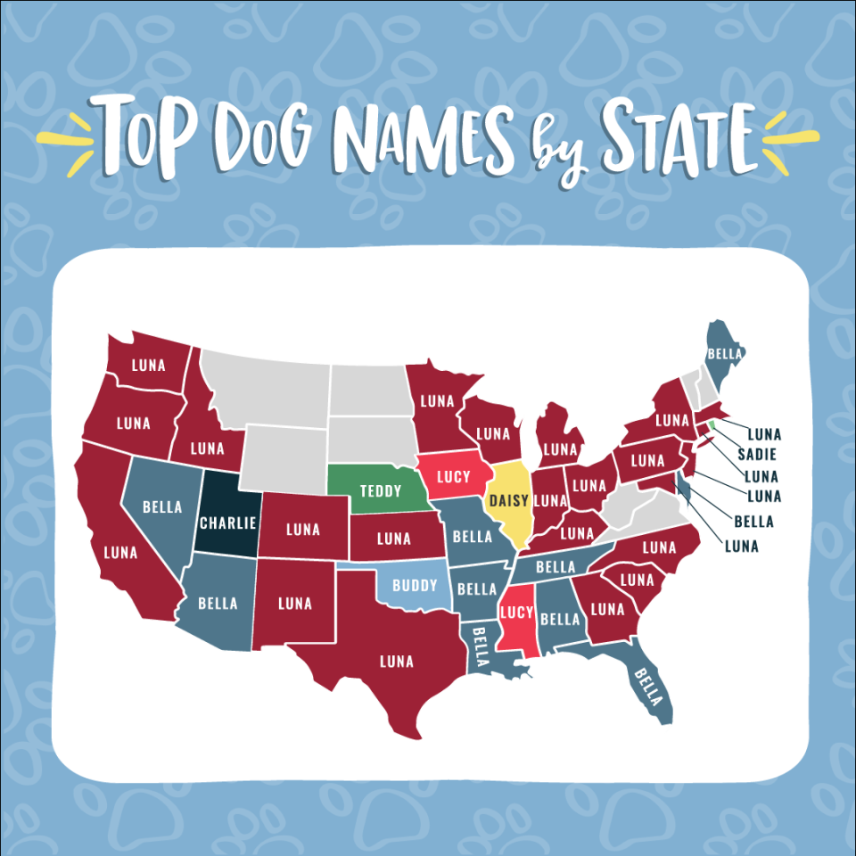 Top 5 dog names for Florida for 2022? Bella, Luna, Daisy, Cooper and Bailey. Shown is a map of top dog names by state courtesy of Camp Bow Wow.