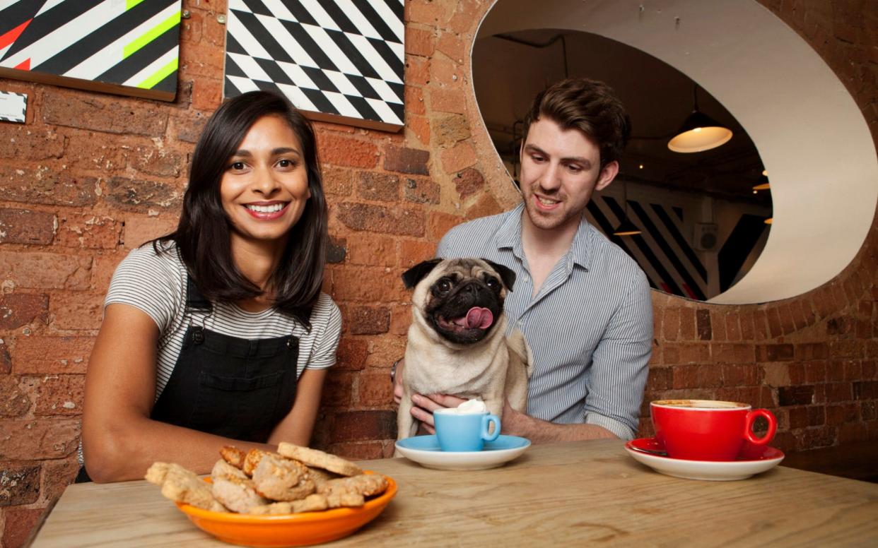 Bertie the pug at the pug cafe with owner Anushka Fernando and writer Richard Jones - Rii Schroer