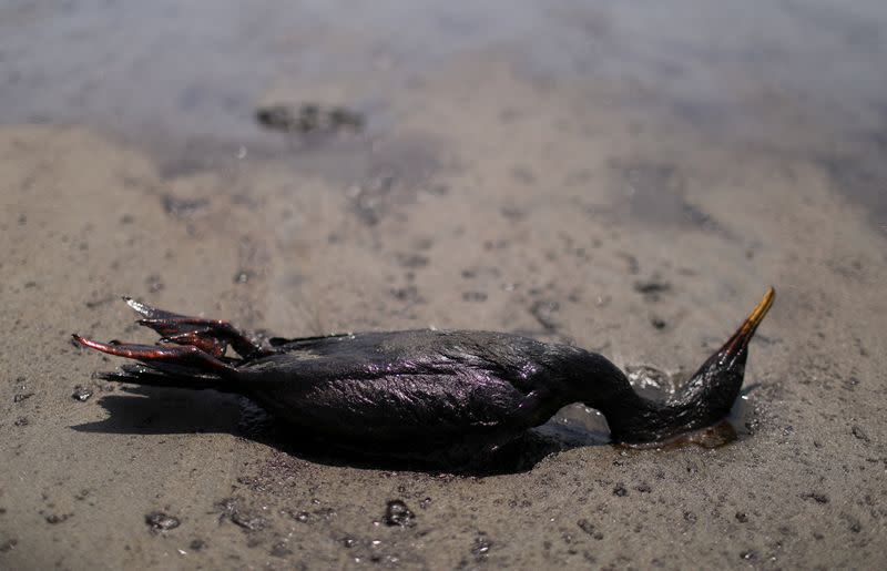 Workers clean up an oil spill in Ventanilla