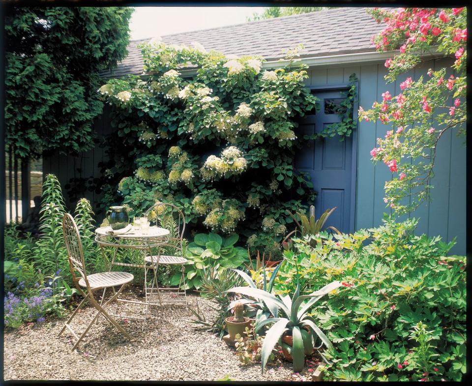 <p>Create a quiet spot to relax in your yard by carving out space with <a href="https://www.wayfair.com/Featherock-Inc-Natural-Pumice-Gravel-FTHR1012.html" rel="nofollow noopener" target="_blank" data-ylk="slk:gravel;elm:context_link;itc:0;sec:content-canvas" class="link ">gravel</a> and surrounding it with greenery and vines.</p><p><strong><a href="https://www.countryliving.com/shopping/g32700041/best-lawn-chairs/" rel="nofollow noopener" target="_blank" data-ylk="slk:Find more great lawn chairs;elm:context_link;itc:0;sec:content-canvas" class="link ">Find more great lawn chairs</a>.</strong></p><p><a class="link " href="https://go.redirectingat.com?id=74968X1596630&url=https%3A%2F%2Fwww.homedepot.com%2Fs%2Fgravel&sref=https%3A%2F%2Fwww.countryliving.com%2Fgardening%2Fgarden-tours%2Fg1432%2Flandscaping-ideas%2F" rel="nofollow noopener" target="_blank" data-ylk="slk:SHOP GRAVEL;elm:context_link;itc:0;sec:content-canvas">SHOP GRAVEL </a></p>