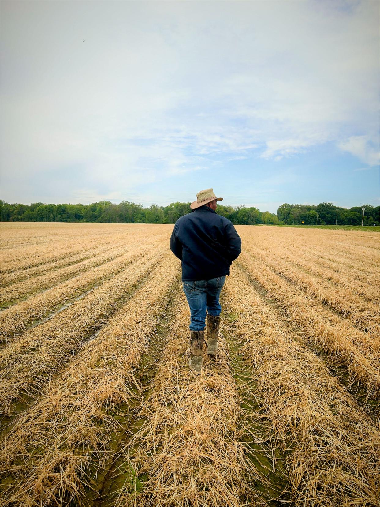 PJ Haynie surveys one of his rice fields on April 25, 2023. nnHaynie is a fifth-generation row crop farmer with land in Virginia and in Arkansas, which is where he grows his rice. He also co-owns a rice mill in Arkansas, helping to add value to one of the state's most important crops.